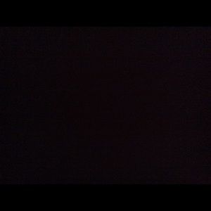 Meet your Posher, Oscar